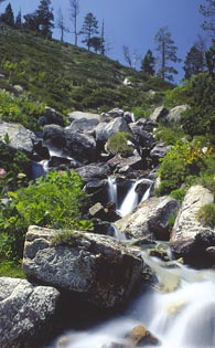 Torrent d'aigua El Ter