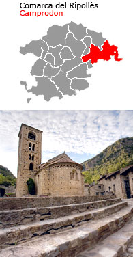 Beget