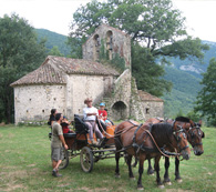 Hípica Salarsa Hípica Salarsa