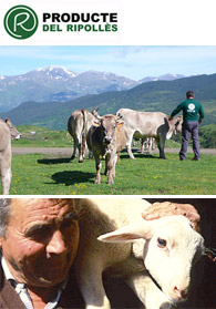 Carns de Criança del Ripollès