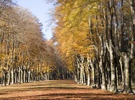 Passeig de Maristany Passeig de Maristany